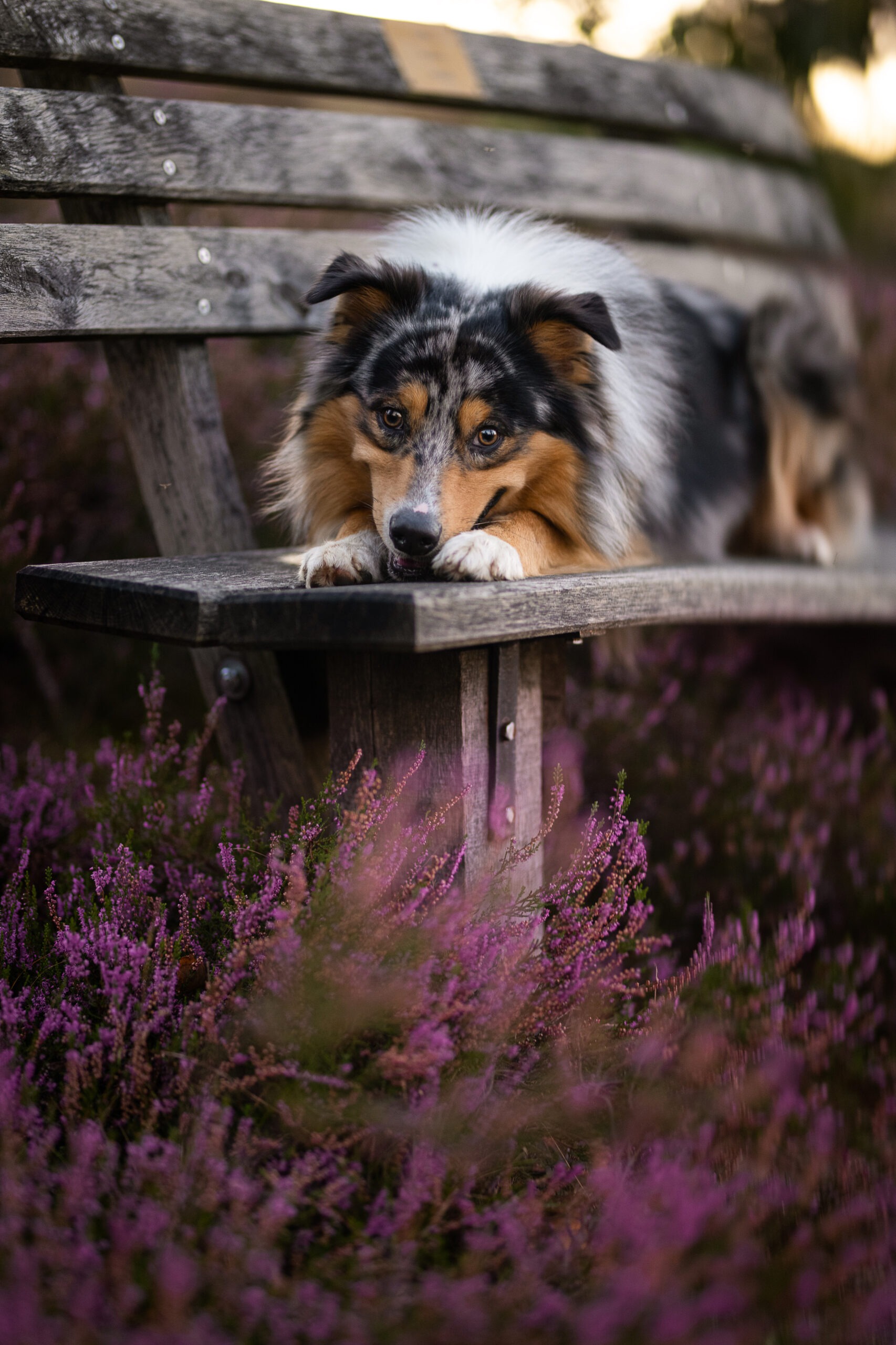 DSC_5450-edit-kleiner